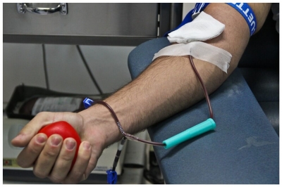 1η Αιμοδοσία Χοροβατών