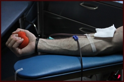 2η Αιμοδοσία Χοροβατών